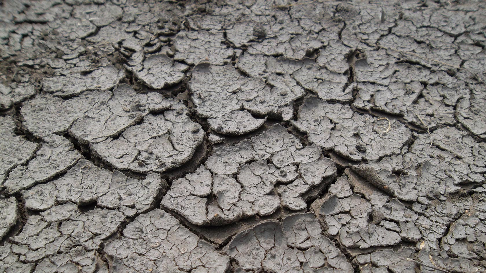 Photo of cracked soil