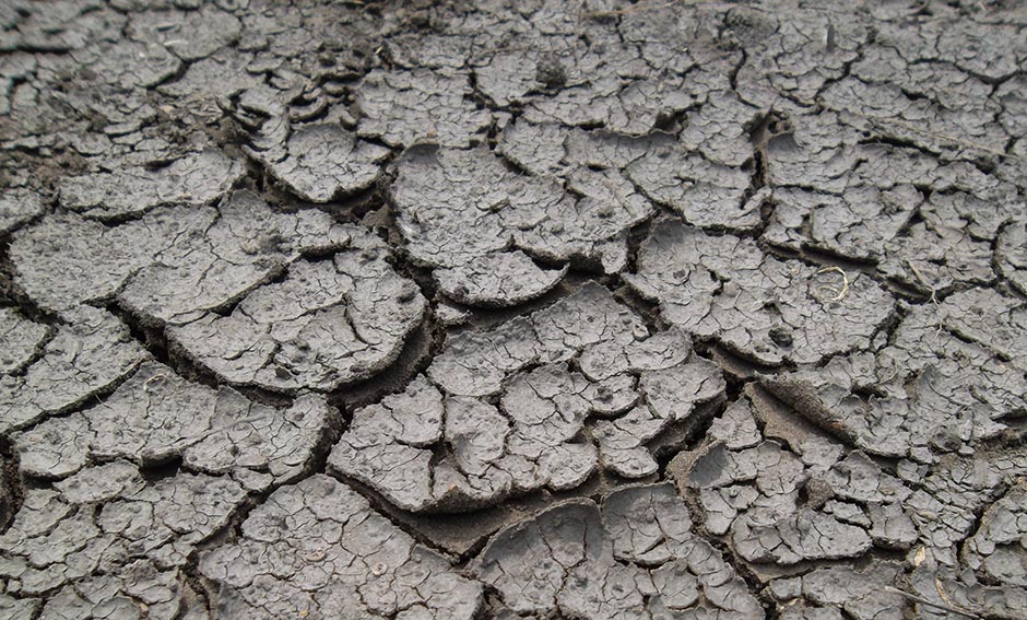 Photo of cracked soil