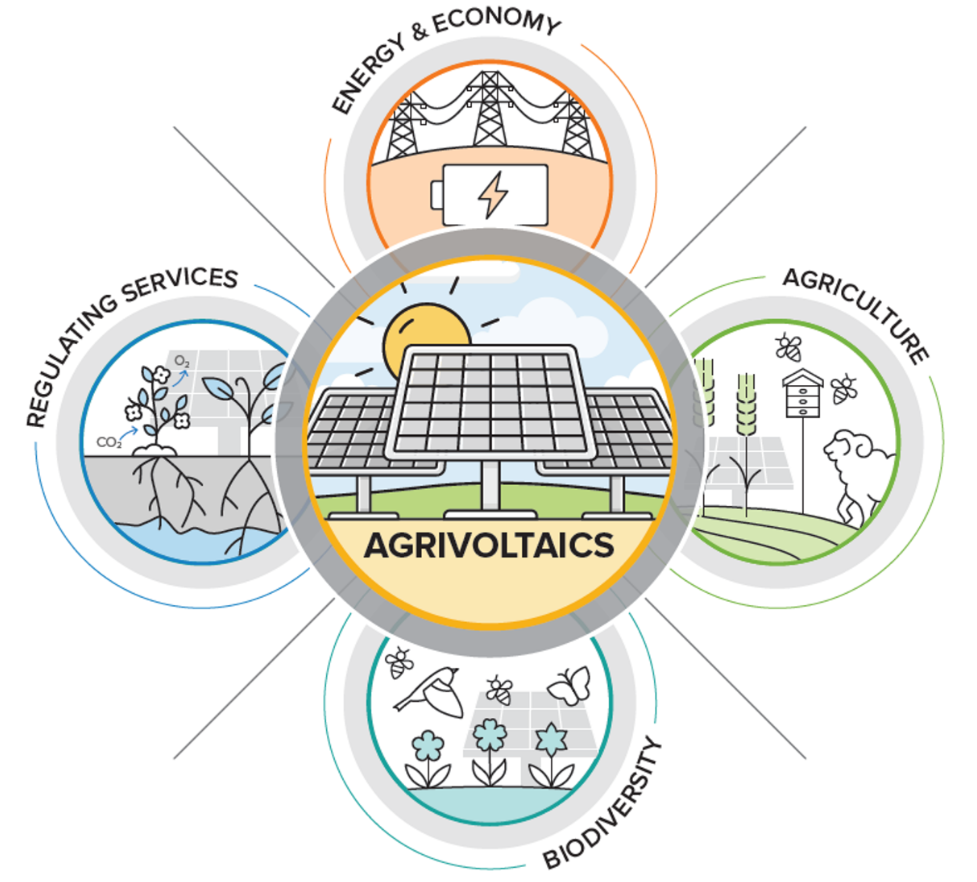 Agrivoltaics diagram showing energy and economy, agriculture, biodiversity, and regulating services